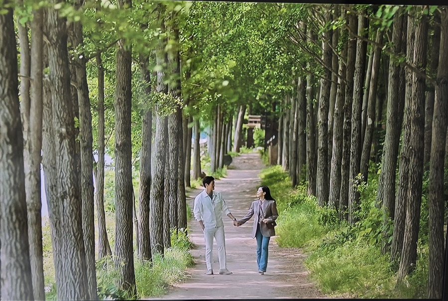 아뜰리에화양연화 이미지