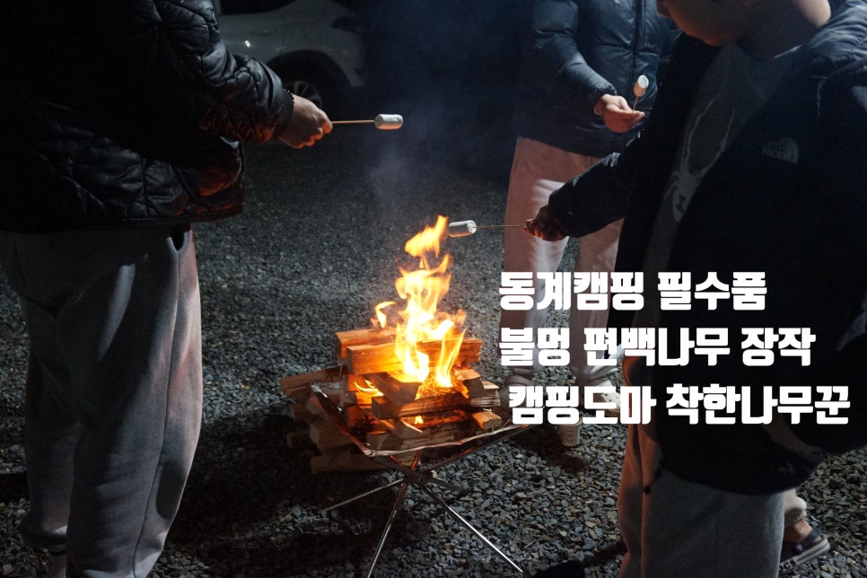 피톤치드캠핑장작 이미지