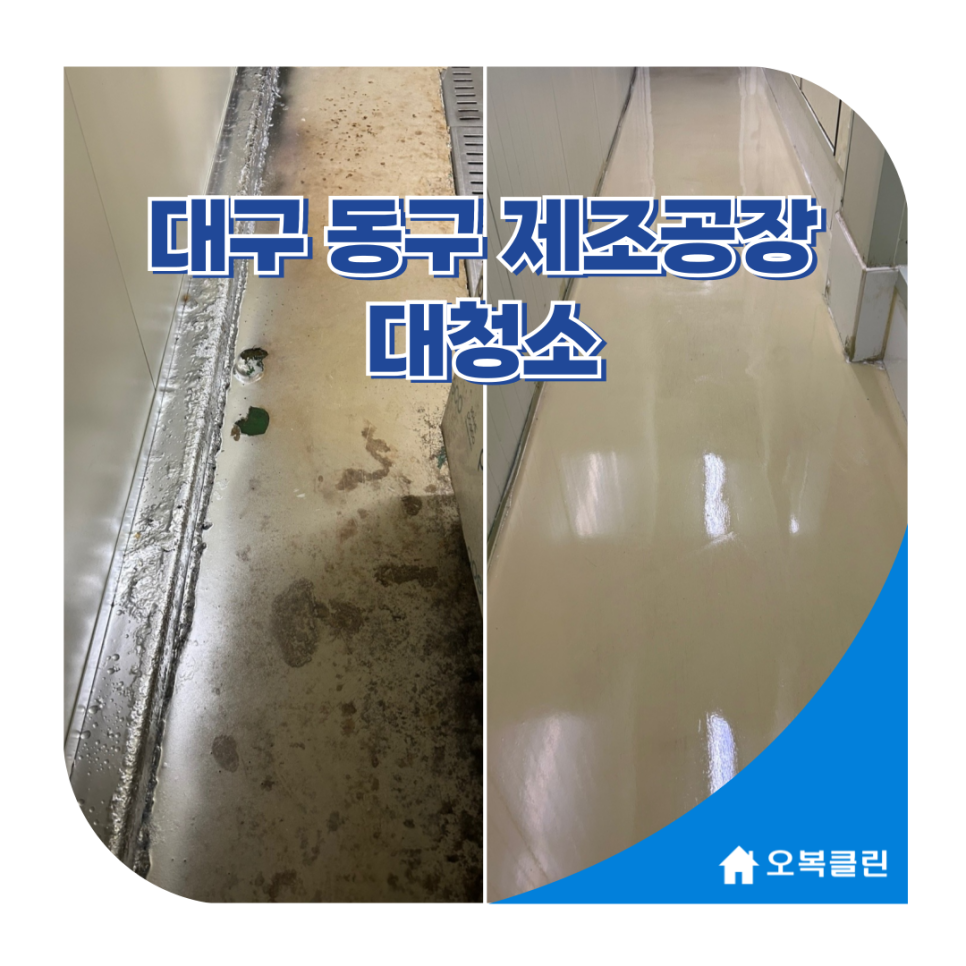 오복클린 이미지