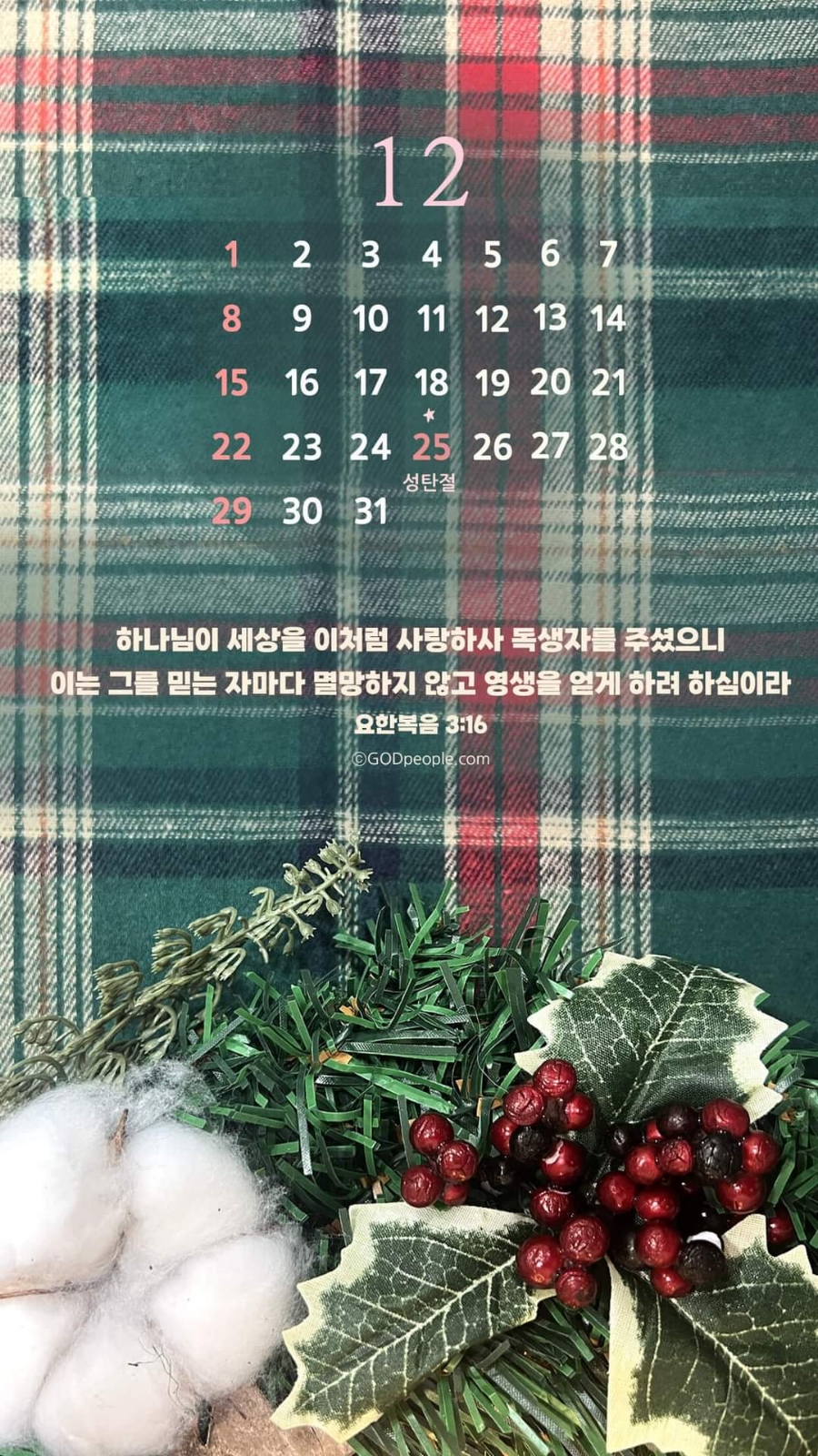 잭슨빌 이미지