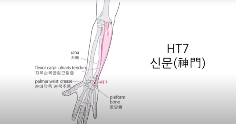 경희포레온한의원 이미지