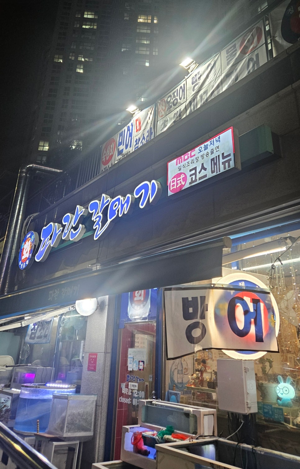파란갈매기 이미지