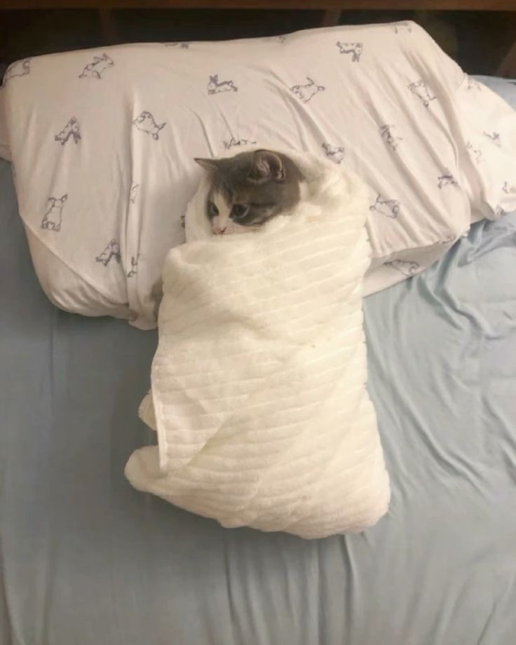 대빵 이미지