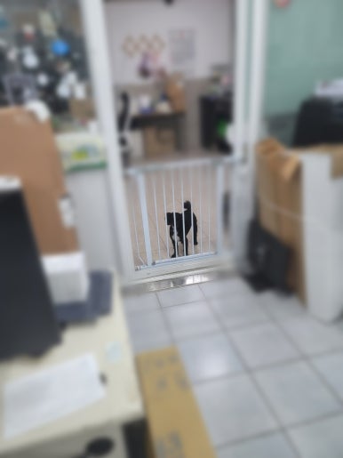 성주인쇄소 이미지