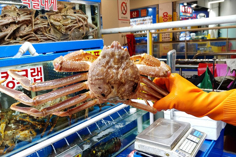 가야회수산 이미지