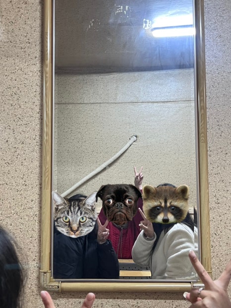 원평황소막창 이미지