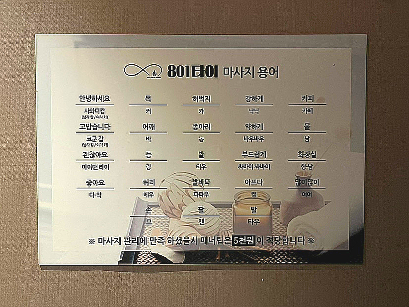 801타이아로마 이미지