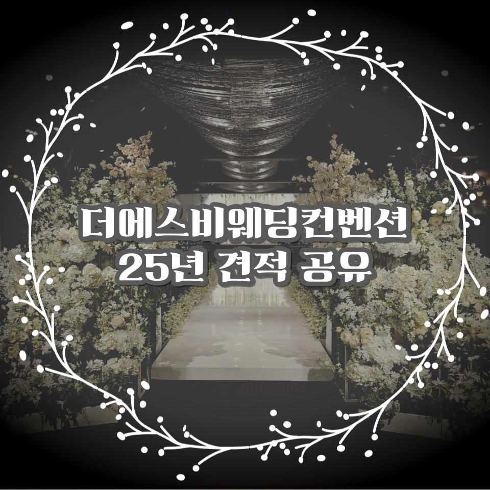 에스비투어 이미지