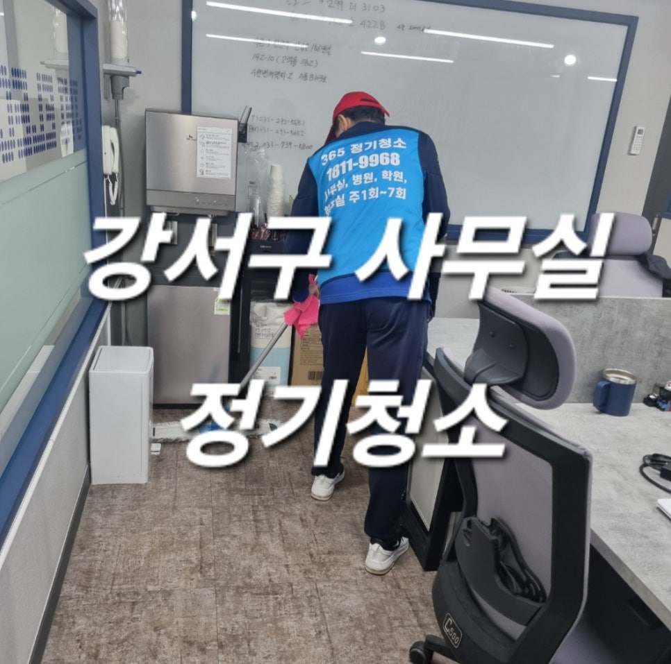 돌핀크린 이미지