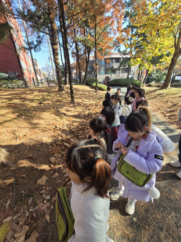숲속사랑유치원 이미지