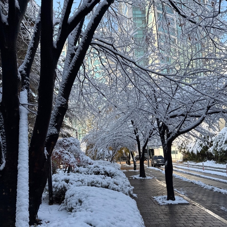 이가자헤어비스 수색이마트점 이미지