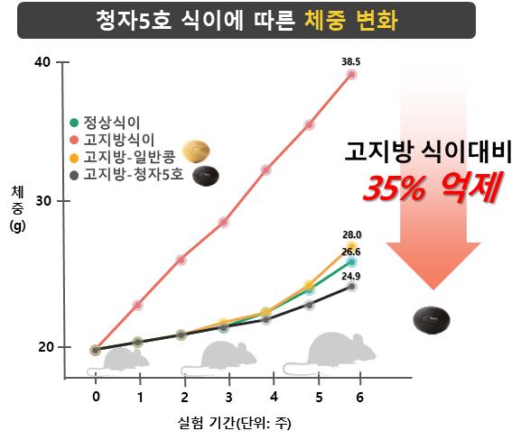 뉴터 이미지