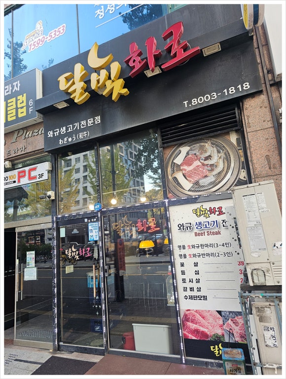 달빛고기 이미지