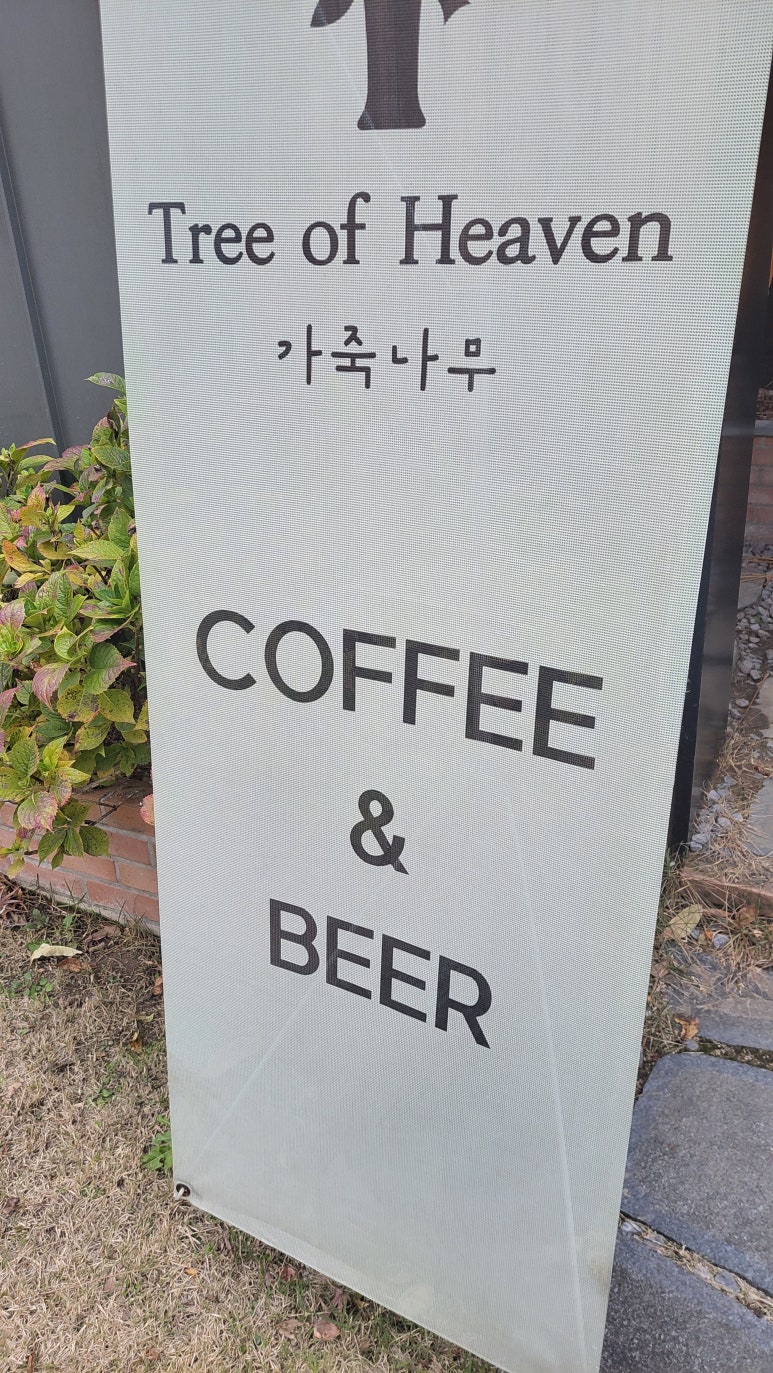 트리오브헤븐 이미지