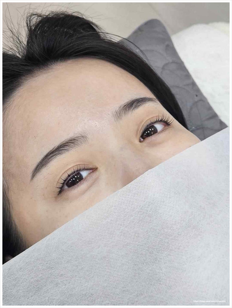 미샵 이미지