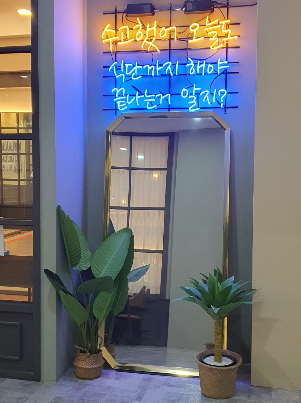 스타칼리 이미지