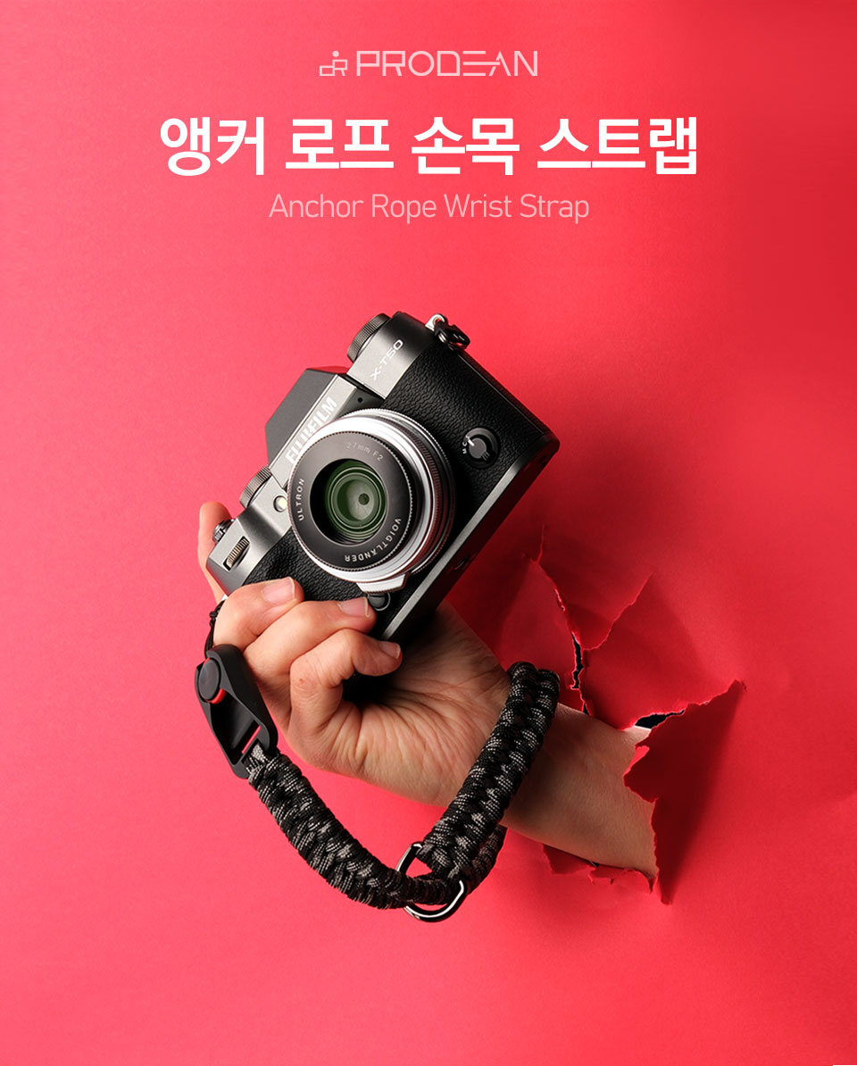 디지탈창신 이미지