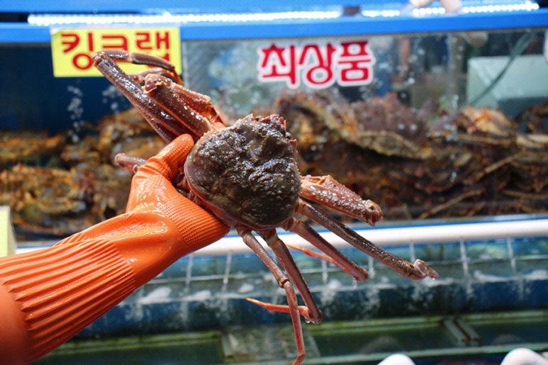 가야회수산 이미지