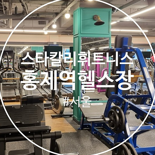 스타칼리 이미지