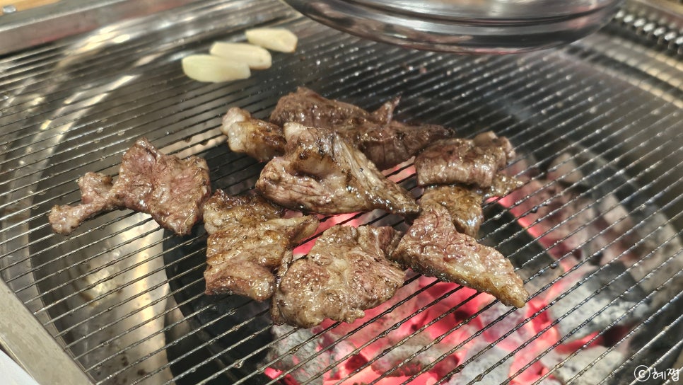 은행나무갈매기 이미지