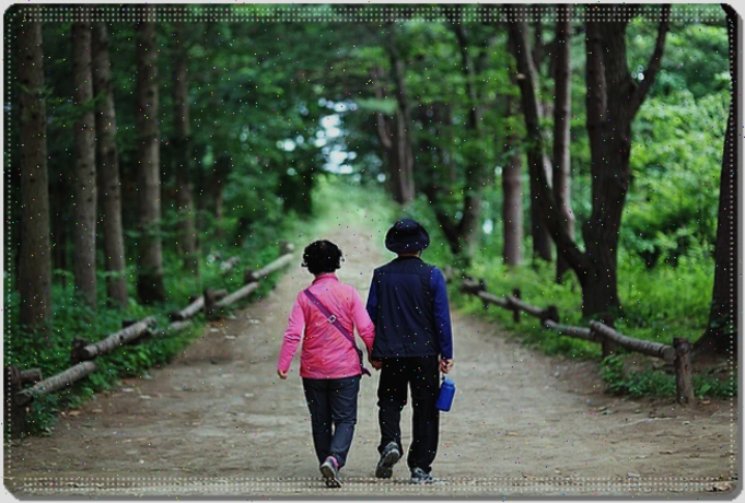 서해낚시 이미지