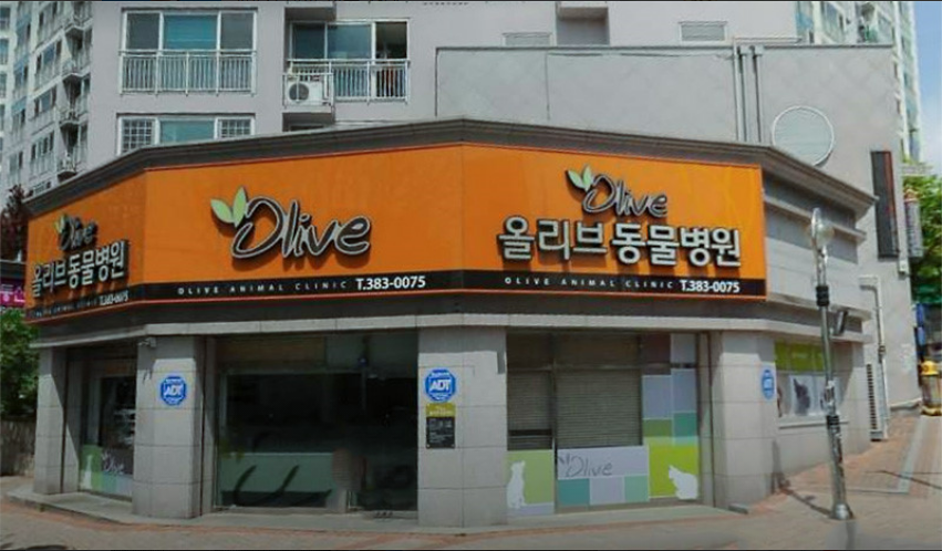 올리브동물병원
