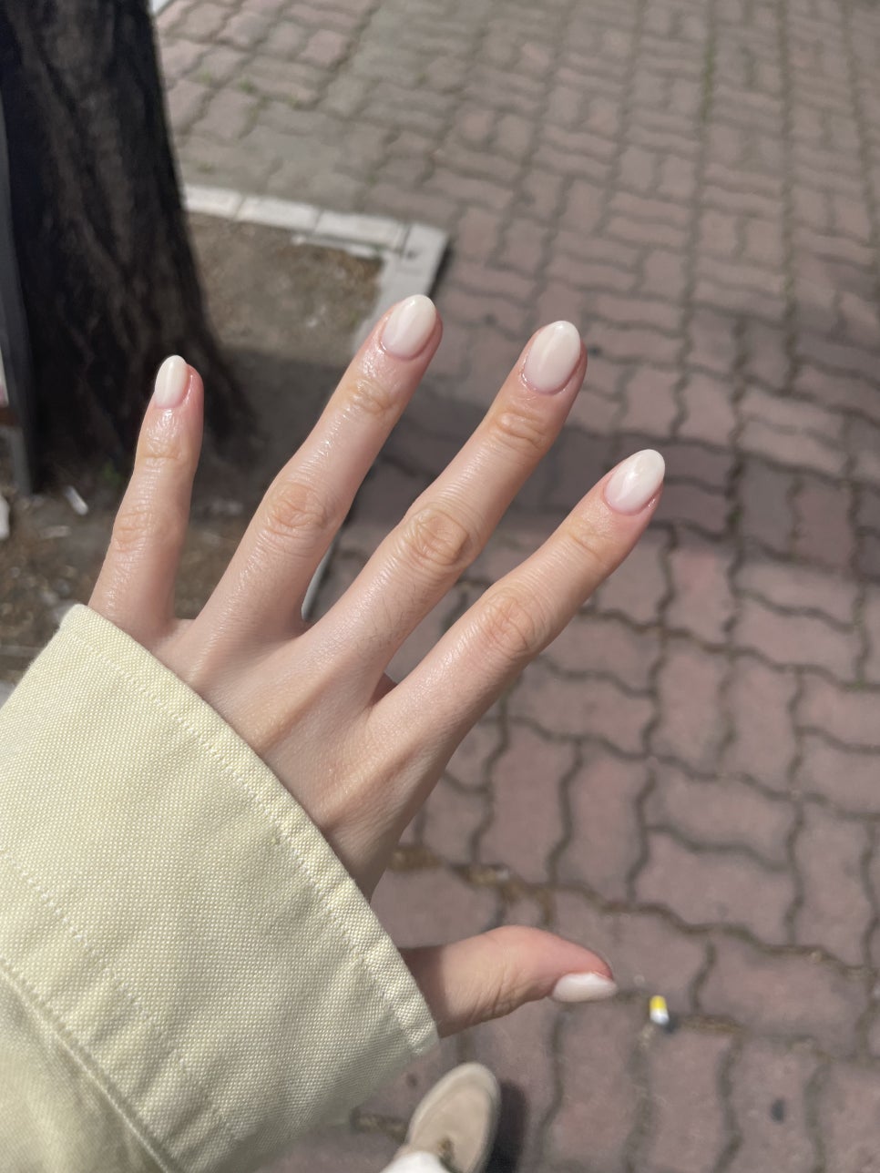 미야네일 이미지