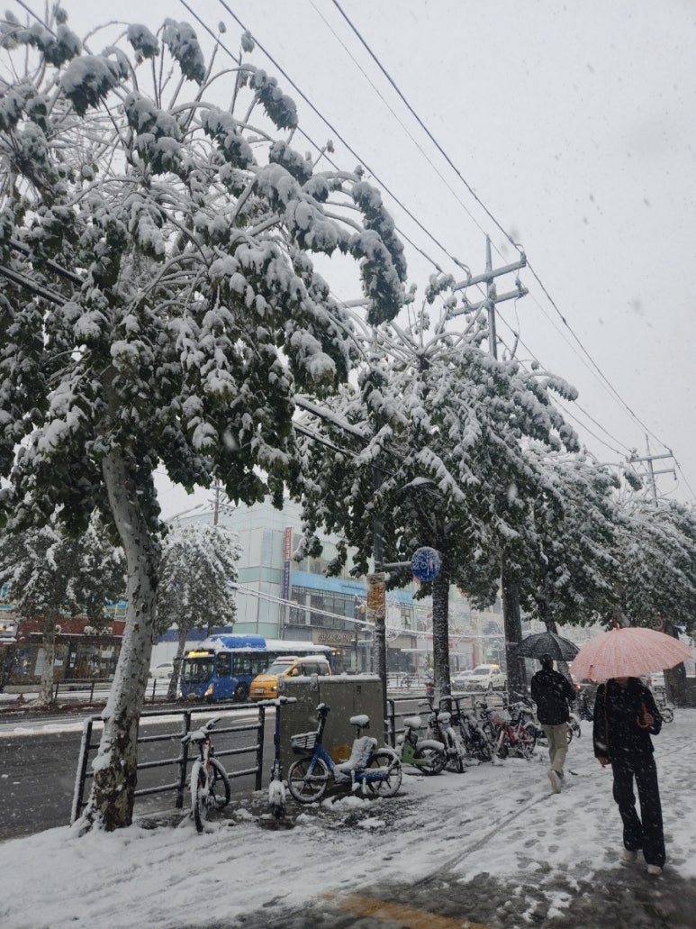 도곡회수산 사진 8