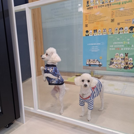 올리스24 마산호계점 후기 사진