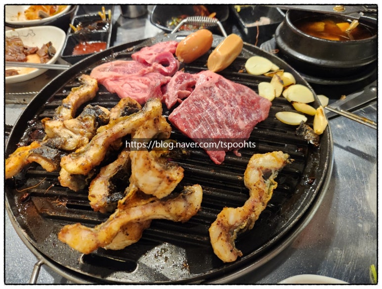 처음본명품민물장어 이미지