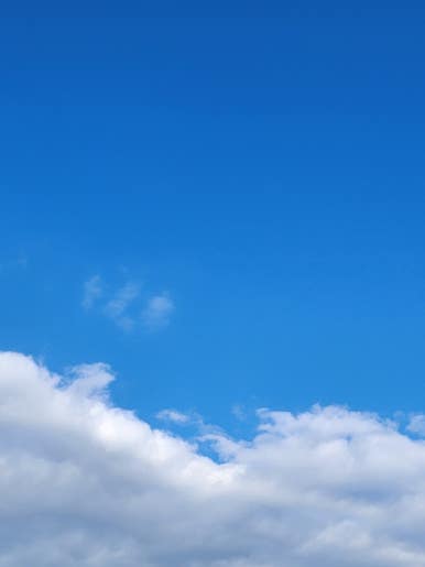 홍콩반점0410 서산해미점 이미지
