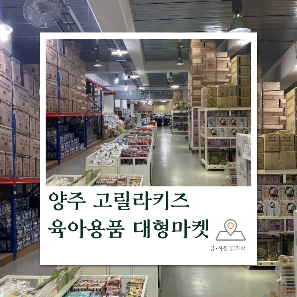 창고릴라 이미지