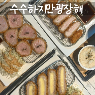 수수하지만 굉장해 이미지