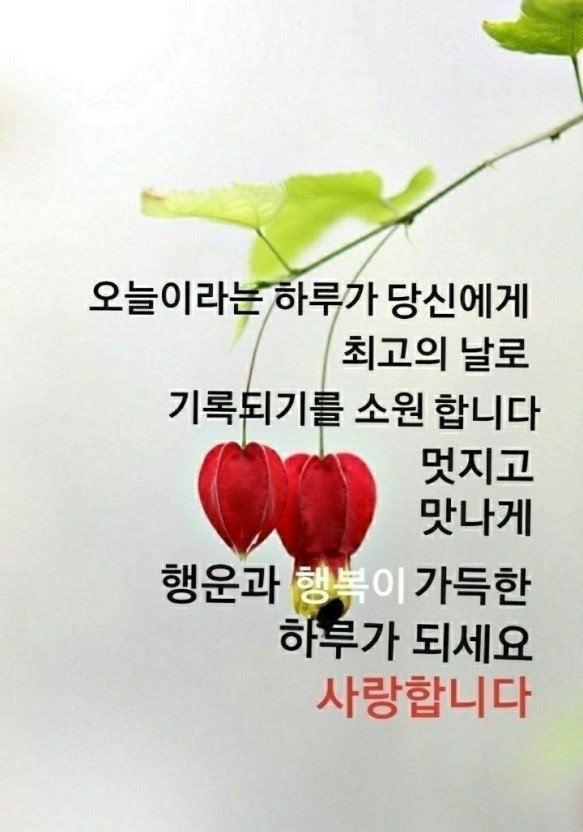 오늘선물 이미지