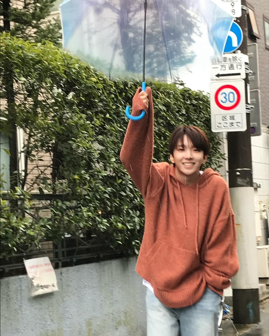 라이브사랑벌 이미지