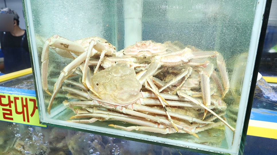 시장수산 이미지