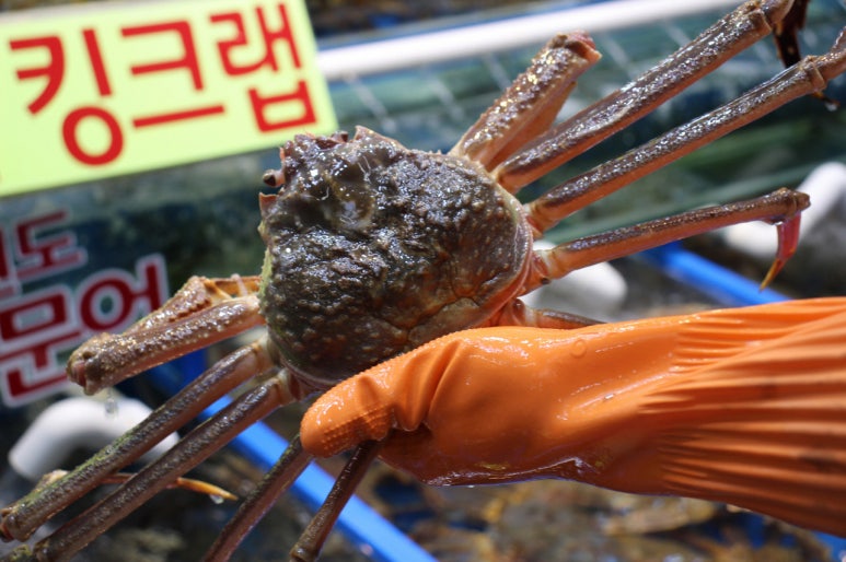 시장수산 이미지