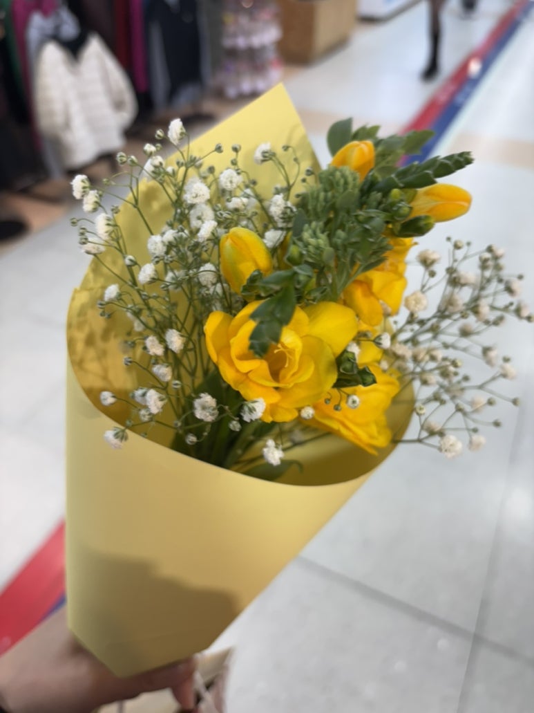#BONITA 이미지