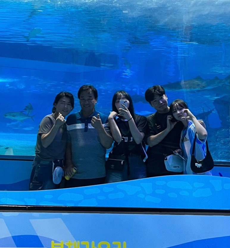 비지애드 이미지