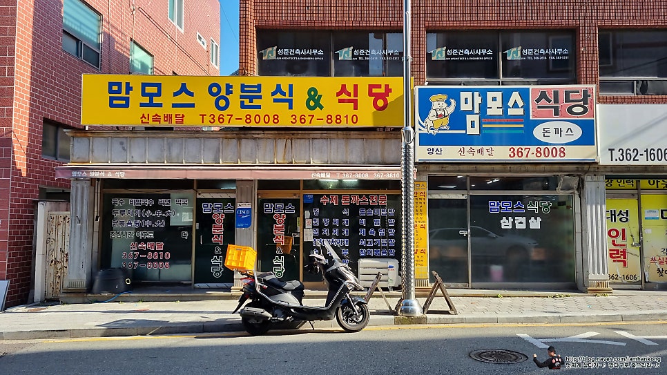 맘모스양분식 이미지