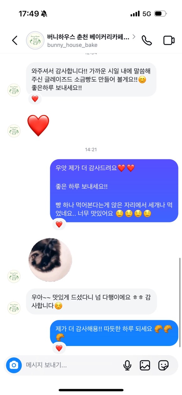 버니하우스 이미지