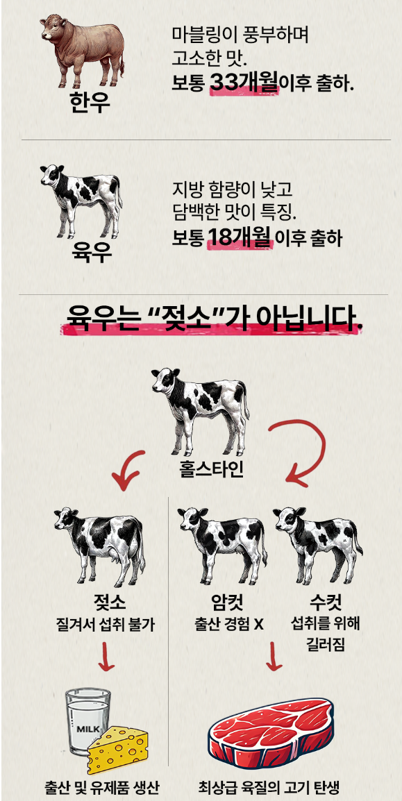 아이엔지유통 이미지