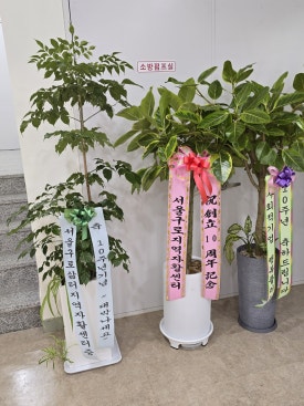 크린플러스사회적협동조합 이미지