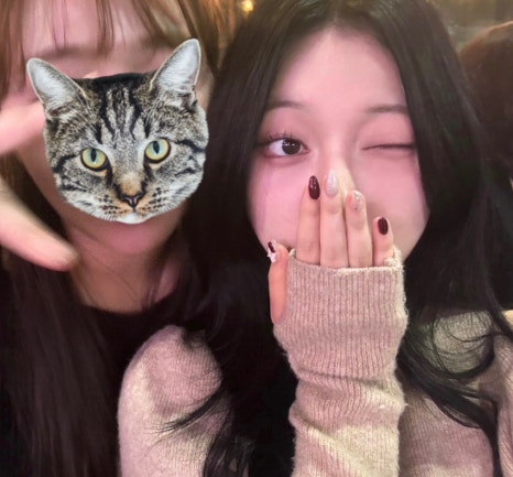 와크와크 이미지