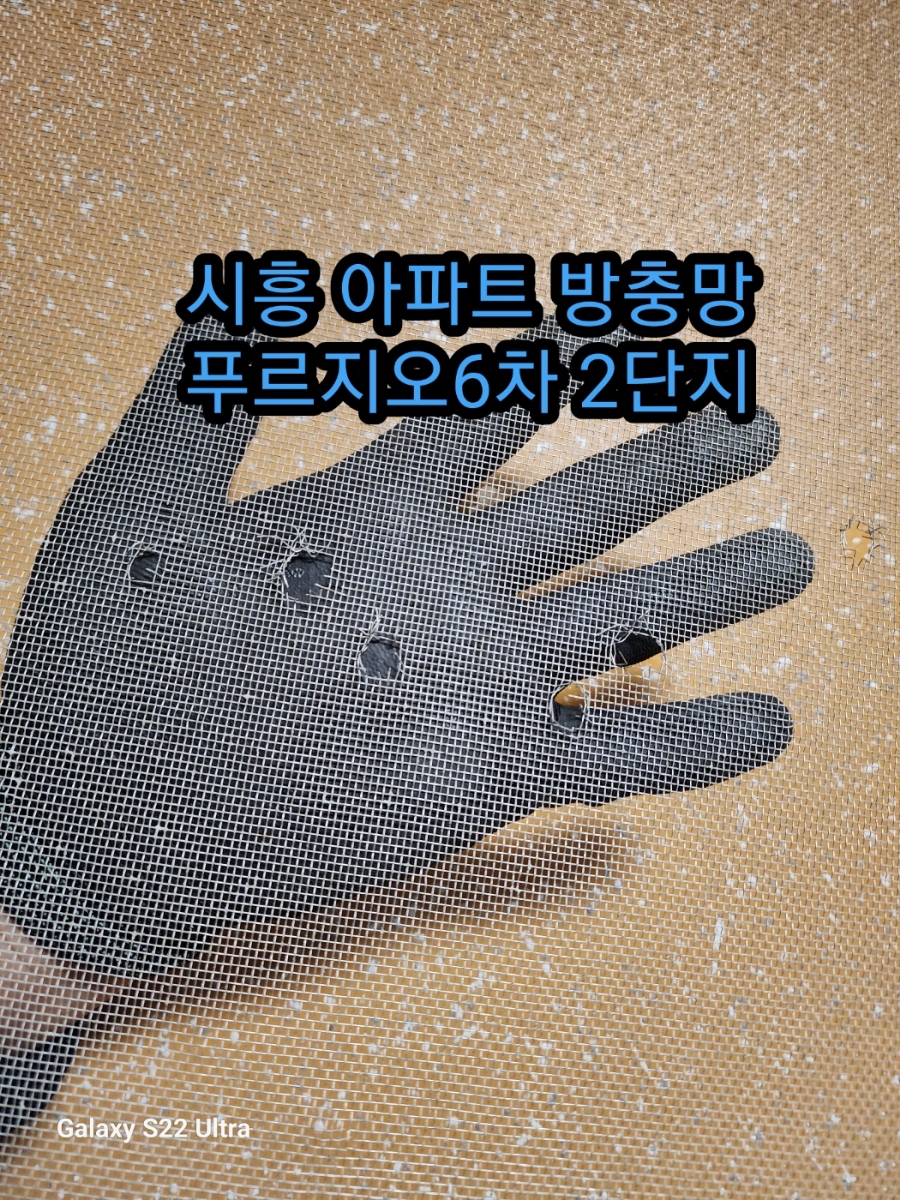벤제프안산 이미지