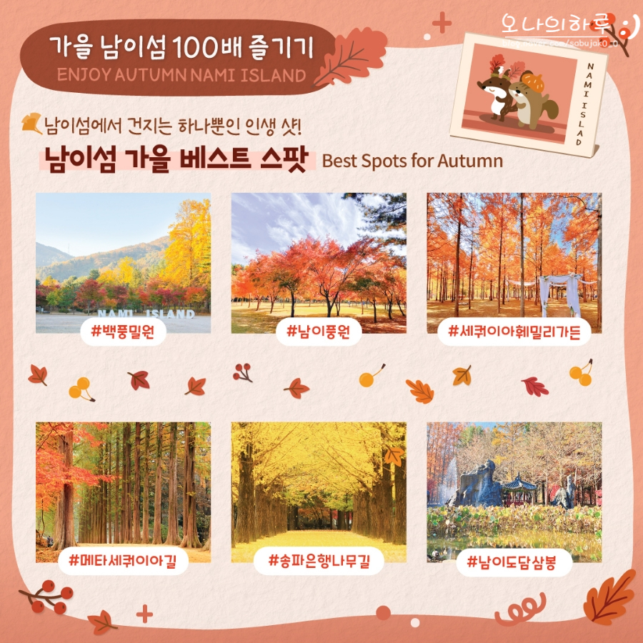 인생샷없음 이미지