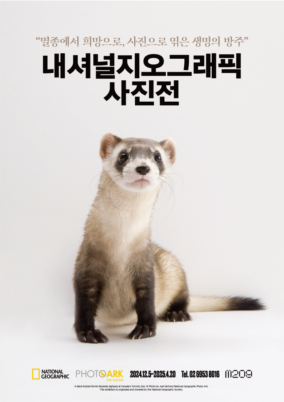 내셔널지오그래픽 이미지