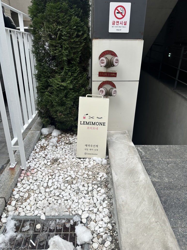 르미모네 이미지
