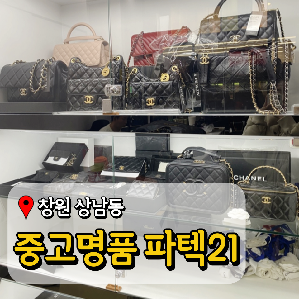 파텍21 이미지