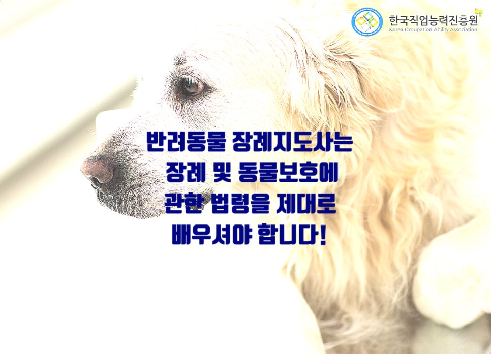 한국전문장례지도사교육원 이미지